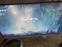 LGJP【超300万玩家+购】24英寸显示器22寸电脑屏幕高清2K180Hz办公设计电竞游戏显示屏笔记本可外接 24英寸【1K240hz】高刷 直白 实拍图