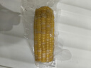 京鲜生甘肃水果玉米220g*8棒真空甜玉米棒低脂代餐免煮开袋即食源头直发 实拍图