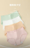 红豆女士内裤女抗菌棉氨三角裤蕾丝无痕中腰裤头4条装 组合二170 实拍图