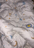 罗莱儿童 黄小豆 婴幼儿A类30%大豆纤维被 春秋被子 4.4斤 200*230 印花 实拍图