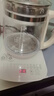 新飞多功能养生壶迷你办公室花茶壶玻璃烧水壶保温电热水壶煮茶烧水一体大容量煎药壶黑茶煮茶器煮水壶 米白色升级款 1.8L 实拍图