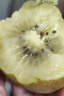 佳沛（zespri）新西兰  阳光金奇异果10粒礼盒巨大果单果约144-175g 水果 猕猴桃 实拍图