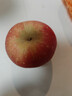 京鲜生 陕西洛川苹果红富士  净重5斤  单果200g+ 生鲜水果 实拍图