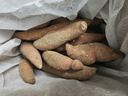 京鲜生烟薯25号蜜薯 净重4.5斤单果50g+ 糖心地瓜烤红薯粗粮 源头直发 实拍图