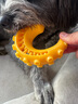 萌嘟星宠狗狗耐咬磨牙鱿鱼须漏食玩具洁齿清洁口腔大中小型犬幼犬宠物用品 实拍图