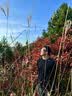 CAPONI登山护目镜变色太阳镜防雾运动眼镜跑步骑行开车墨镜防风防紫外线 实拍图