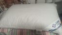洁丽雅（Grace）A类纯棉高弹酒店枕头枕芯护颈枕颈椎枕家用枕芯成人睡觉专用高枕 实拍图