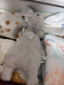 澳贝（auby）婴幼儿童玩具星座小兔安抚巾宝宝哄睡神器新生儿毛绒手偶满月礼物 实拍图