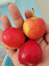 映棠 东北鸡心果5斤【顺丰快递—多地次日达】海棠果玫瑰小苹果礼盒装 1斤大果【人工精选】 现摘现发 实拍图