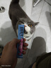多特思(DOTUS) 猫零食猫条混合口味15g*55支整桶装成猫幼猫咪零食湿粮 实拍图