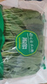 【24小时菜】菠菜苗400g(长度≤20cm) 实拍图