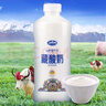青海湖 藏酸奶1kg 含15%牦牛奶 酸奶 低温酸奶 原味风味发酵乳 无添加剂 实拍图
