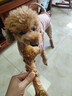 疯狂小狗宠物狗狗零食磨牙牛骨头泰迪比熊小型犬洁齿耐啃鸡肉绕牛棒骨 90g 实拍图