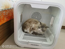 PEISIMA智能恒温宠物烘干箱猫咪狗狗洗澡烘干神器英短布偶比熊吹水防感冒 新款 星耀Ultra【APP智联】白色 实拍图