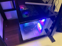 航向者英特尔i5酷睿i7升54核芯/RTX5060/30604060台式电脑主机DIY组装电脑全套整机商务办公电竞直播游戏 电脑主机+显示器 六：i9级36芯8G满血独显/64G/1T畅玩3A 实拍图