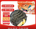 鲜京采 鲜冻大号黑虎虾 去冰净重2斤 31-40只/盒 斑节对虾 实拍图