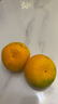 三萌果蔬临海涌泉蜜桔【EMS/顺丰-多地次日达】黄岩蜜橘子水果礼盒送礼 精选中大果丨单果60mm+丨狠甜 净重4.5-5斤装【超80%人选-超划算】 实拍图