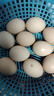 京喜加农家新鲜散养鸡蛋单枚40g正负5g谷饲蛋初生蛋溏心蛋早餐生鲜买菜 10枚 实拍图