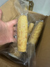 京鲜生云南香糯小玉米4斤 西双版纳小花糯 黏玉米低脂健身源头直发 实拍图