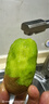 肴池晚采徐香猕猴桃周至新鲜绿心奇异果应季水果彩箱珍珠棉礼盒 20枚特大果【果肉满满|品质】105-125克 实拍图