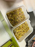 贝净洁豆芽发芽盆家用自制豆芽机发豆芽专用盆神器黄豆绿豆发芽罐 两层发豆芽盆-奶油白（共两盒+三盖） 实拍图