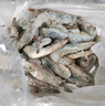 禧美海产  白对虾 无冰净重400g/盒 22-27只 盐冻锁鲜 烧烤 海鲜水产 实拍图