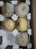 京地达梨砀山酥梨雪梨梨子香梨水果送礼净重8.8斤单果250g+源头直发 实拍图