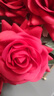 爱已装糖 奶油风假花仿真花高档手感保湿玫瑰花客厅摆件装饰花 红色5支 实拍图