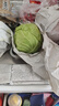 京地达山东青甘蓝 净重4.5斤 单果200g+绿包菜球圆白菜  源头直发包邮 实拍图