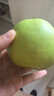 京地达梨砀山翠玉梨翠冠香梨新鲜水果净重8.8斤单果250g+源头直发包邮 实拍图