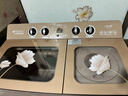 三峡劲霸【纯铜电机】大容量半自动洗衣机家用老式大容量双缸双桶商用酒店宾馆被子毛毯四件套以旧换新 30公斤塑桶金【9秒强洗+滚珠轴承纯铜+强劲动力】 实拍图