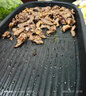 齐函杨佳齐齐哈尔烤肉家庭韩式拌肉东北牛肉新鲜户外烧烤食材8包 人气组合~共2000g传统+燕翅+胸口 实拍图