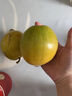 千果娘娘云南西双版纳广西海南鸡蛋果新鲜蛋黄果高原狮头果南方热带水果 精选大果【单果150-300g】 净重1斤【当天采摘】 实拍图