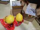 京鲜生 福建红心柚子 1粒 单果2.5-3.3斤 生鲜水果 实拍图