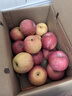 自然搭档 陕西洛川苹果红富士 脆甜苹果生鲜水果礼盒 净重5斤大果（单果85-90mm） 实拍图