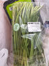 绿色韭菜250g 实拍图