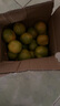 兀果语2025年云南密桔酸桔子当季薄皮橘子孕妇新鲜水果爆汁无核青 4斤 实拍图