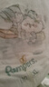 帮宝适（Pampers）清新帮尿不湿婴儿纸尿裤拉拉裤 XL84片【拉拉裤】 实拍图