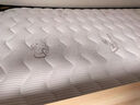 香榭柏兰 椰棕床垫棕垫硬棕榈床垫子 天然乳胶榻榻米床垫定做定制 12CM厚（防螨面料+7CM椰棕+2CM乳胶） 1米*1.9米 实拍图