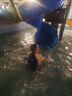 swimbobo户外水上成人小孩充气躺椅游泳圈浮床戏水浮力板 靠背网兜浮排 实拍图
