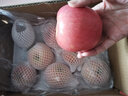 京鲜生 烟台红富士苹果 净重8斤  单果230g起 水果礼盒 实拍图