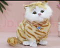 亦趣仿真猫玩偶会叫小猫咪毛绒玩具摆件可爱猫咪公仔儿童生日礼物 会叫橘花猫咪+毛绒垫子 实拍图