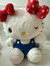 Hello Kitty三丽鸥毛绒玩具布偶猫咪玩偶布娃娃抱枕生日礼物女生 凯蒂猫公仔 实拍图