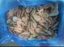 禧美海产 海藻头北极甜虾10斤 90-120+规格 大包装 源头直发原箱 海鲜水产 实拍图