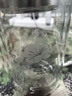 富光健牌双层玻璃杯支持团购定制茶杯办公杯带把 大容量男女水杯子 实拍图