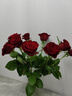 京东鲜花玫瑰花红色玫瑰10枝如意基地鲜切花水养插花生活花束送礼源头直发 实拍图