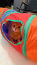 猫玩具自嗨解闷神器猫隧道小猫咪迷宫通道钻洞猫窝宠物用品 【耐抓无异味】S型彩虹隧道125cm（带球） 实拍图