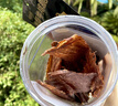 1号牧场香酥牛排脆超薄牛脆片黑椒海盐味100g桶装香烤薄脆牛脆脆内蒙特产 实拍图