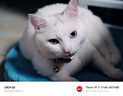 徕卡（Leica） 【3期免息】Q3 28全画幅便携数码相机 莱卡Q3 28微单相机 支持8K视频录制自动对焦19080 徕卡Q3 28单机 Q3 28mm 实拍图