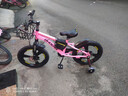凤凰（Phoenix）儿童自行车儿童单车3-6岁小孩自行车6-10岁儿童自行车凤凰自行车 高配迷人粉丨一体轮+双碟刹+礼包 18寸【适合120-150cm】 实拍图